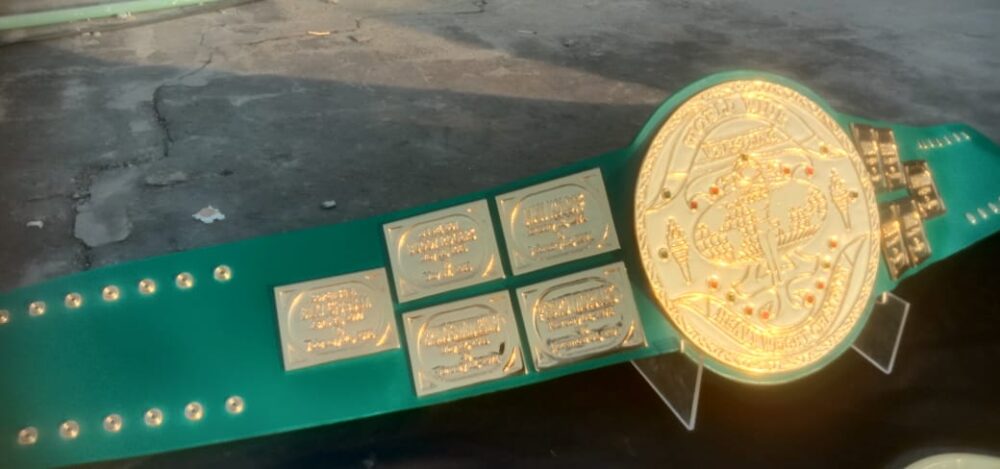 Big Green Heavyweight Wrestling Championship Replica Belt 2MM/4MM/CNC (Heavy) - Image 3