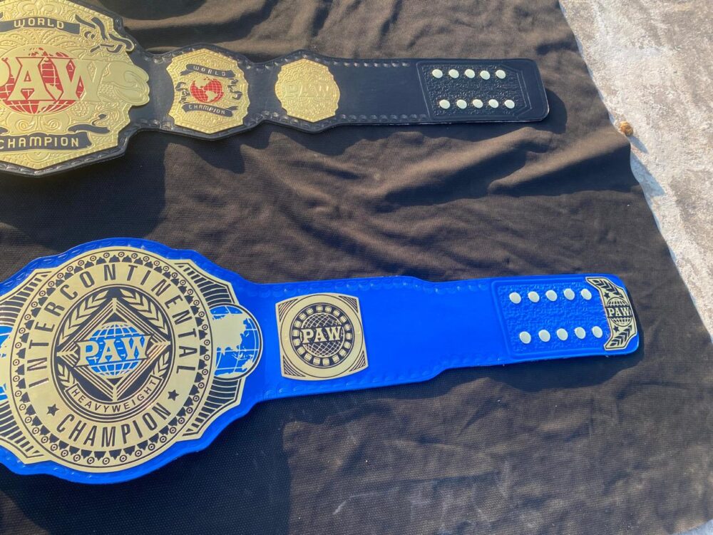 Intercontinental Championship Oval Replica World Heavyweight Commemorative Title Belt Adult Champions Adjustable Leather Strap - Image 6