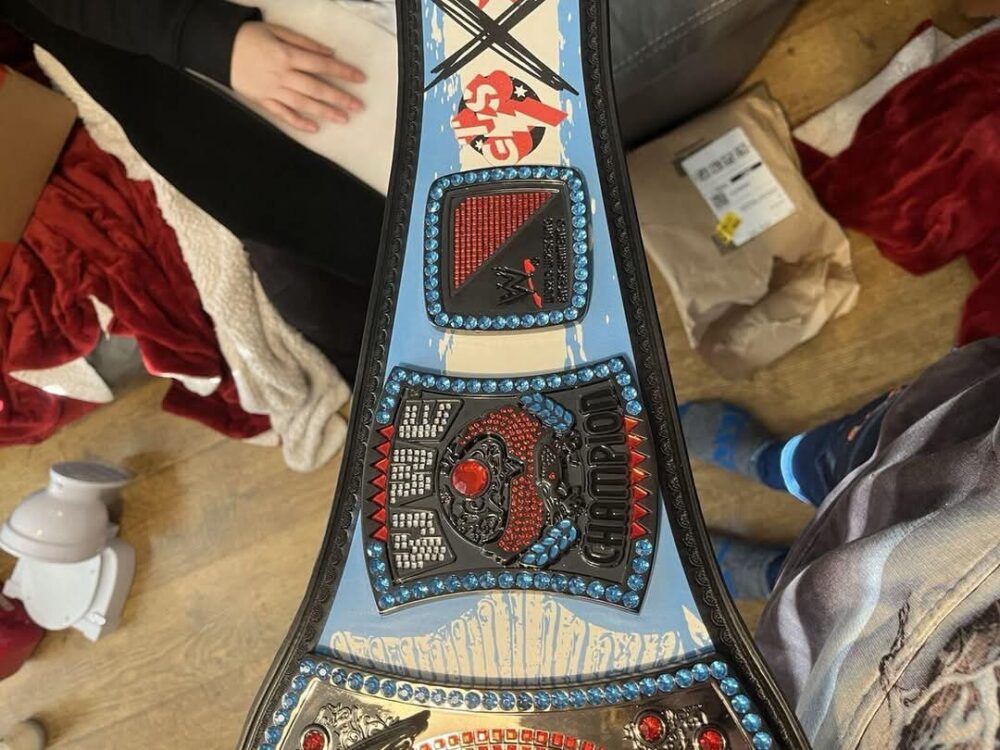 CM Punk 434 Days Record Spinner Championship Wrestling Belt - Image 18