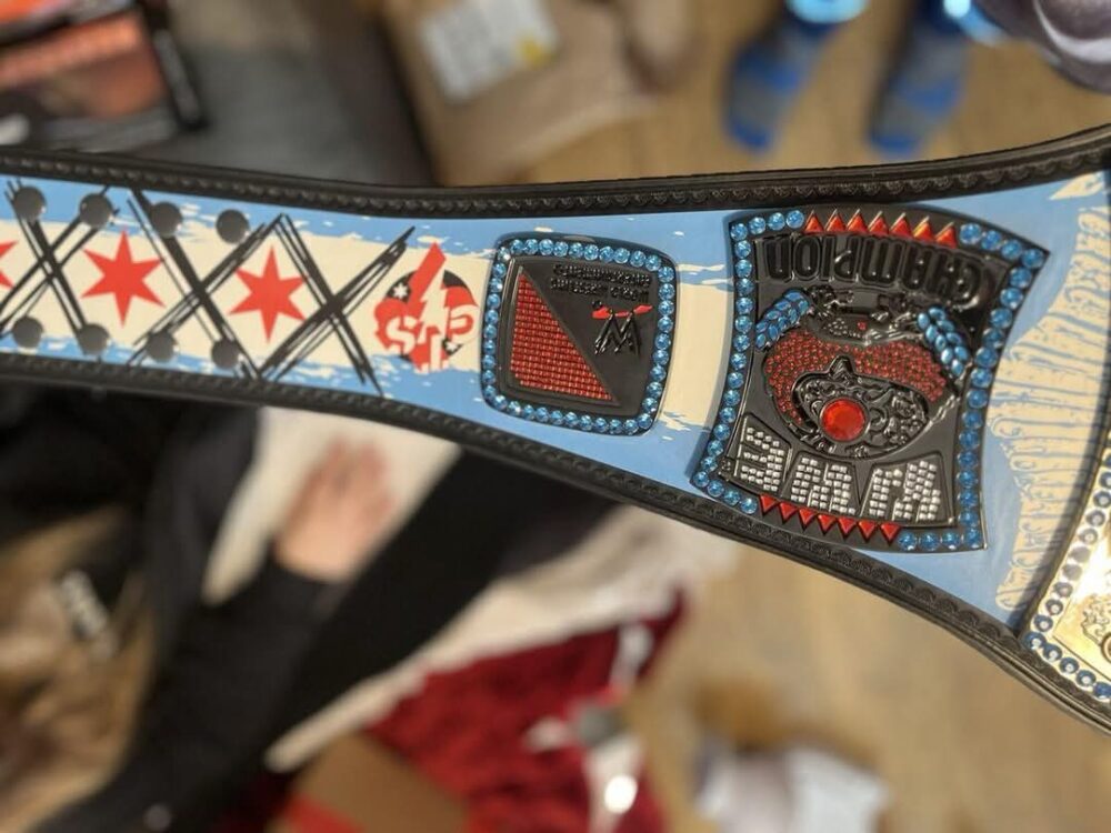 CM Punk 434 Days Record Spinner Championship Wrestling Belt - Image 14