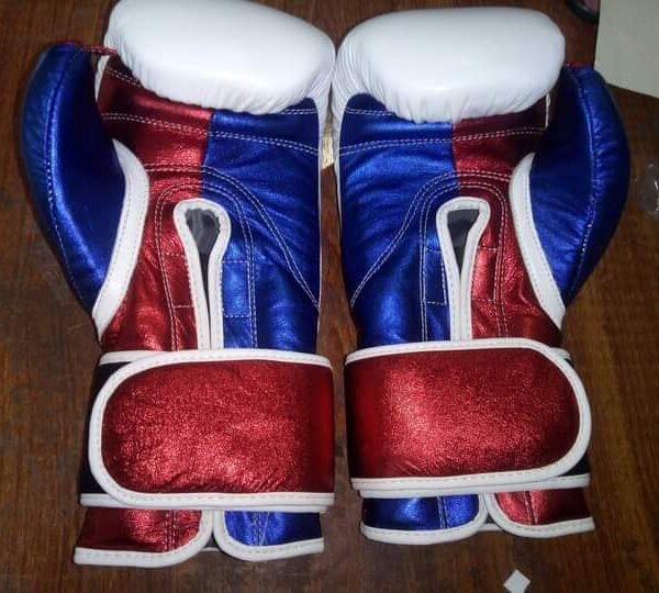 Boxing Gloves Online
