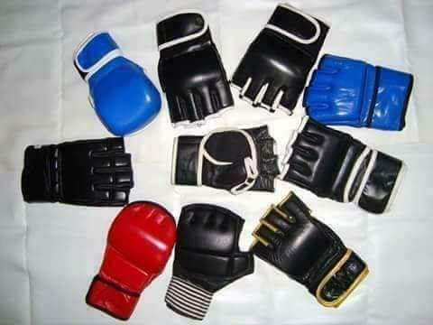 best boxing gloves 2025
