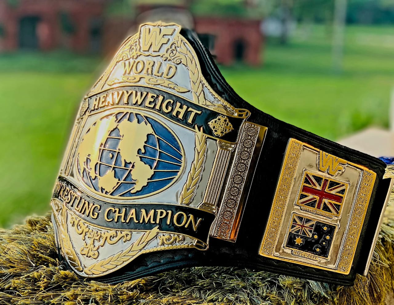 World Heavyweight Wrestling Champion Belt