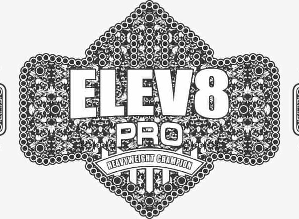 Heavyweight Champion Belt