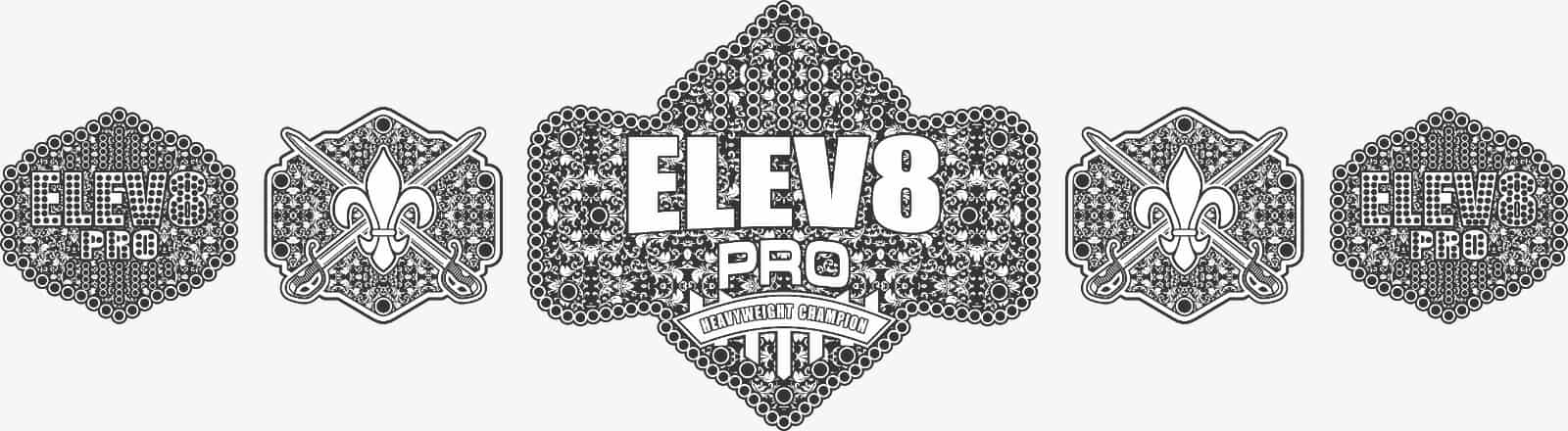 Heavyweight Champion Belt